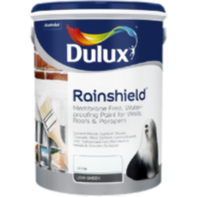 Dulux Rainshield M